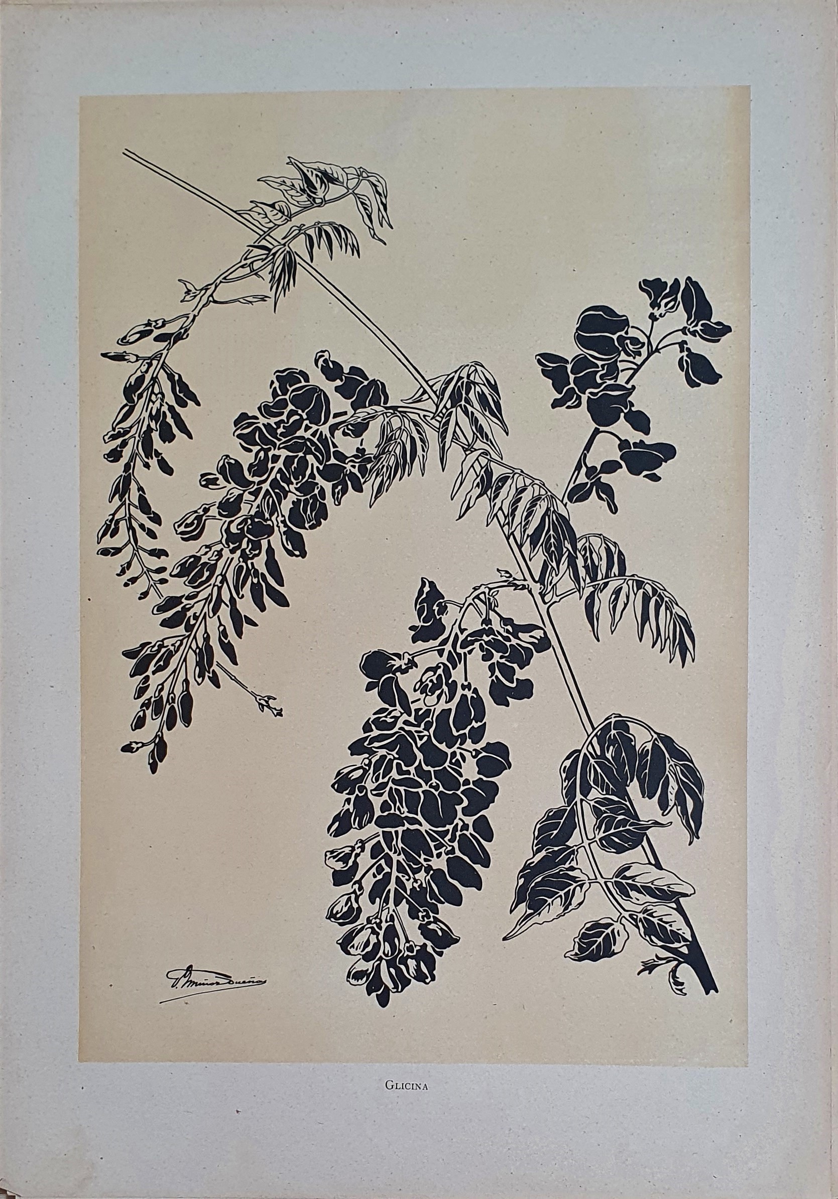 Muñoz Dueñas - Estudios Florales  (10).jpg