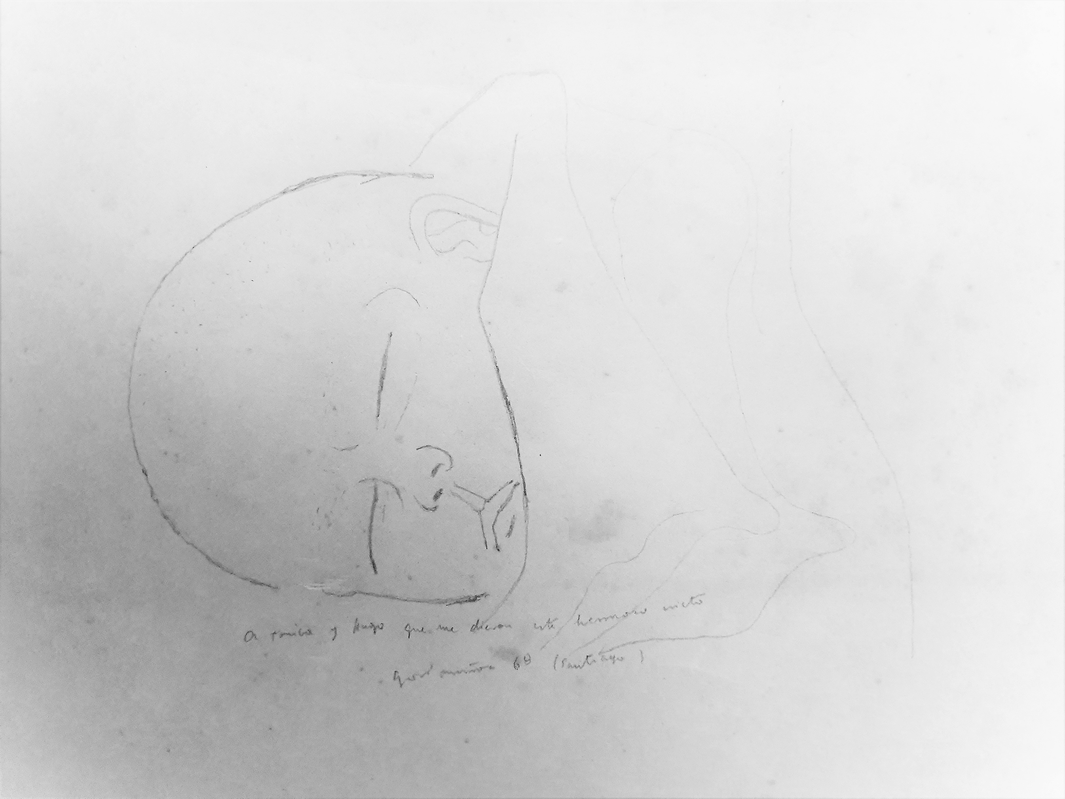 Gori_Muñoz - Dibujo de su primer nieto recién nacido (1968)