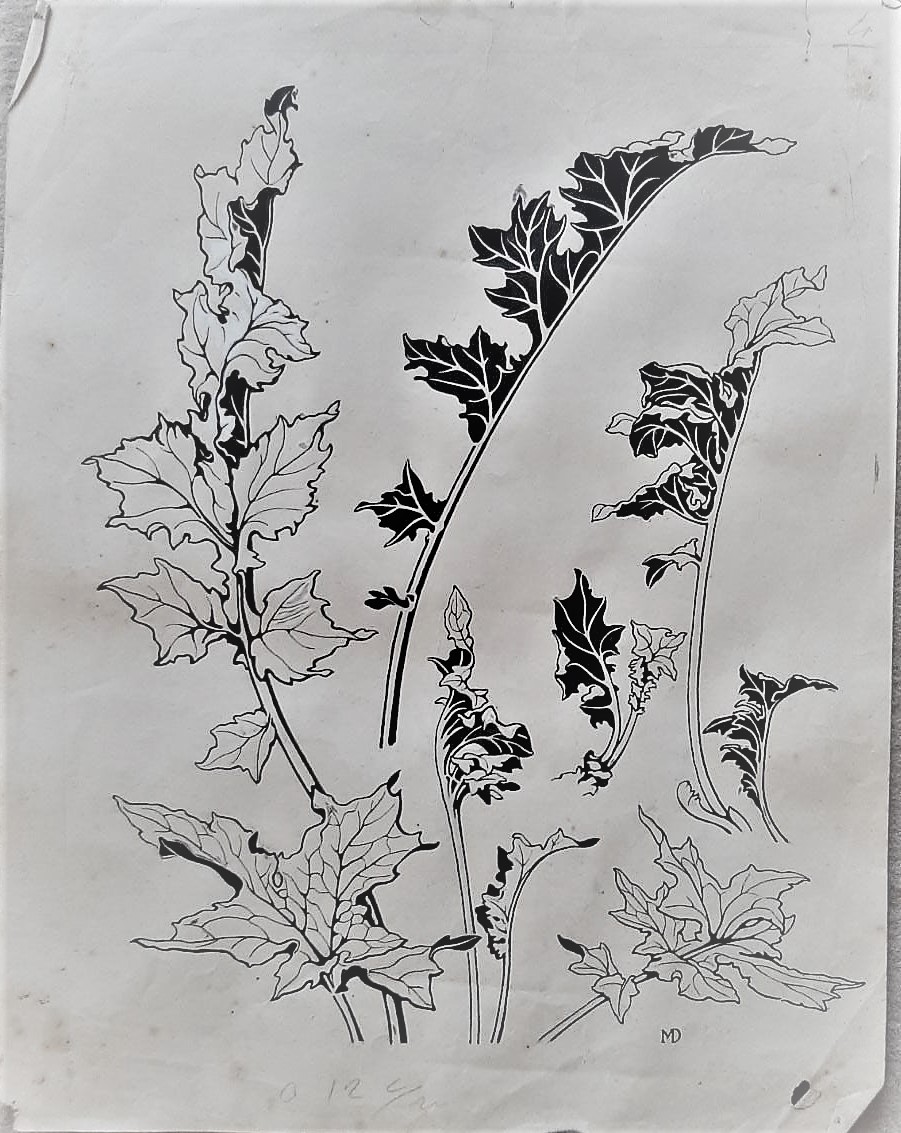 Dibujo (hojas) del pintor y ceramista Gregorio Muñoz Dueñas